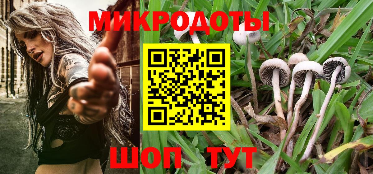 Смоленск  Галлюциногенные грибы мицелий  Псилоцибиновые грибы Magic Shrooms  Вход с VPN 